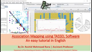 Association Mapping using TASSEL Software | An easy tutorial in English | By Dr Rashid M Rana