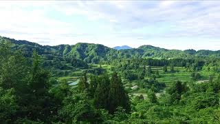 棚田の風景　初夏　旅の音景色