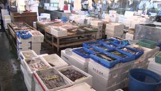 Tokyo: Le marché aux poissons \\