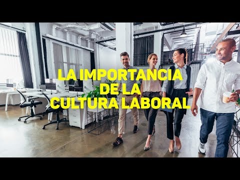 La importancia de la cultura laboral