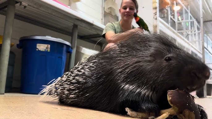 Жалаңаш кеңес актрисалары жалған