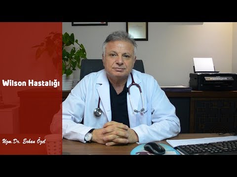 WILSON HASTALIĞI  (Belirtileri ve Tedavi Yöntemleri Nelerdir?) - Uzm. Dr. Erhan Özel