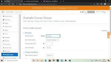 Set auto-create group in Moodle