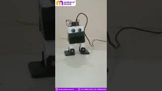 Otto Bot Robotics Project Reel Project