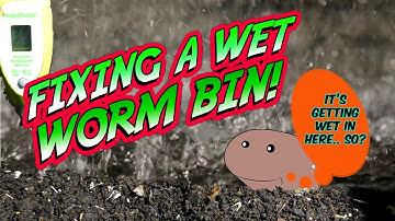 Worm Bin Woes: BALANCING MOISTURE in VERMICOMPOSTING