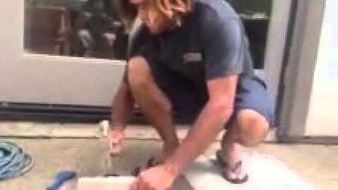 finding the missing link