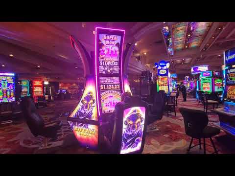 CASINO SLOT MACHINE PLAY! VGT RED SCREENS!