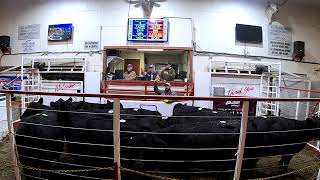 1-11-20 Top-Selling Bred Cows  $1,875  Thank You Kingston Farms Ww Livestock Solid Mouth Bred Cows