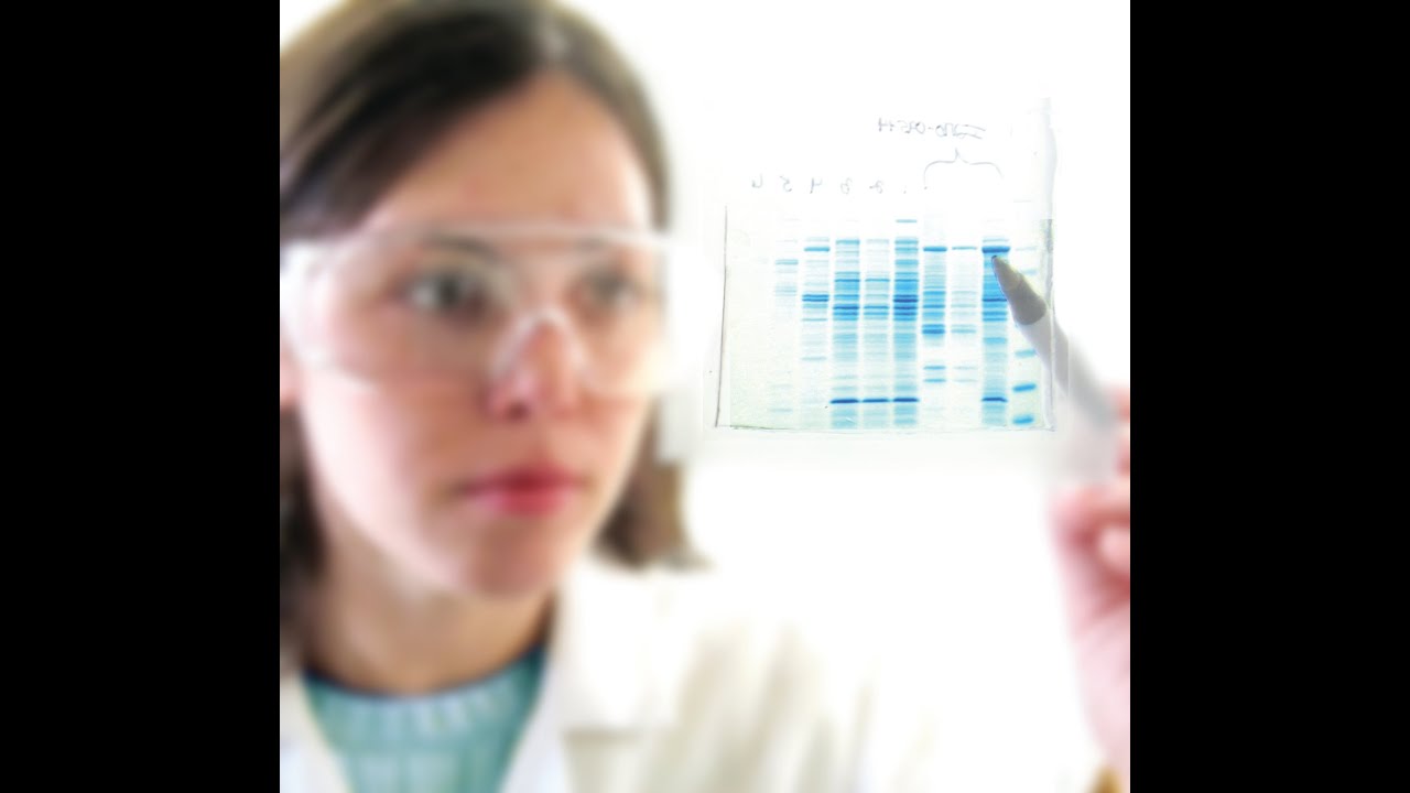 Why The Medium Composition Counts- Molecular Dimensions