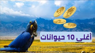 أغلى 10 حيوانات  يمتلكها الطبقة الثرية أغلى عشره حيوانات في العالم