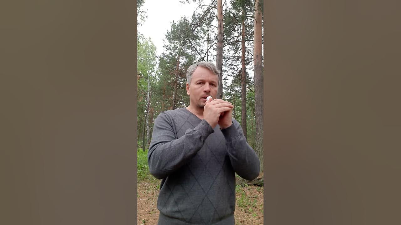 Маним гуся манком видео. Манок на гуменника golden roar. как манить гуся.