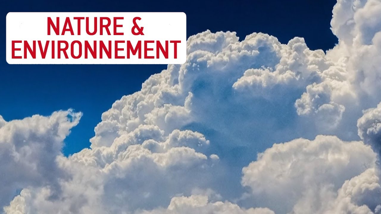 Le petit peuple des nuages - Les chroniques de la Science - YouTube