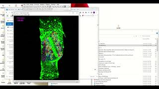 How to delete lines or dots in ImageJ