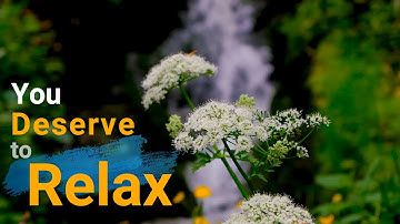 Alluring Music for You Because You Deserve to Relax