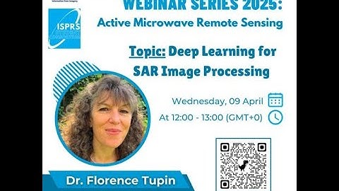 Deep learning for SAR image processing