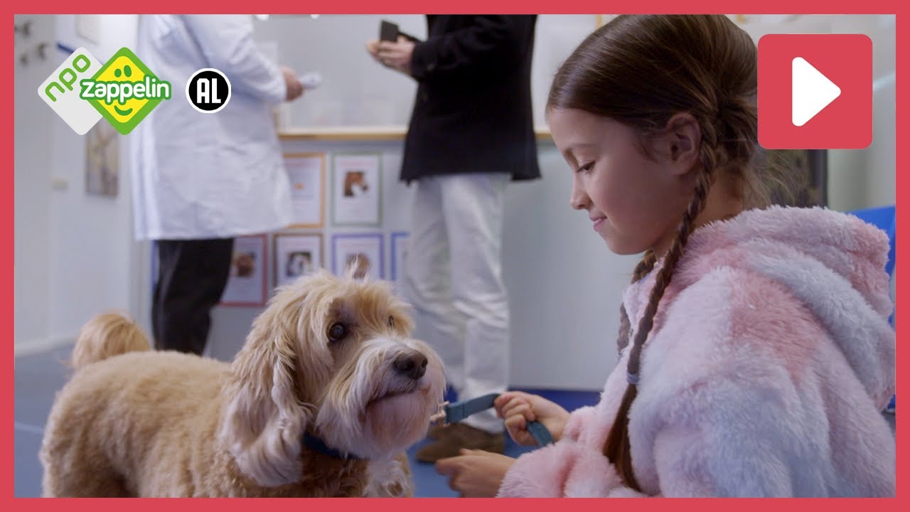 DE TANDARTS IS ECHT LEUK! 🦷 | Jottum | NPO Zappelin