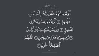 حسن صالح ( سورة الفيل )