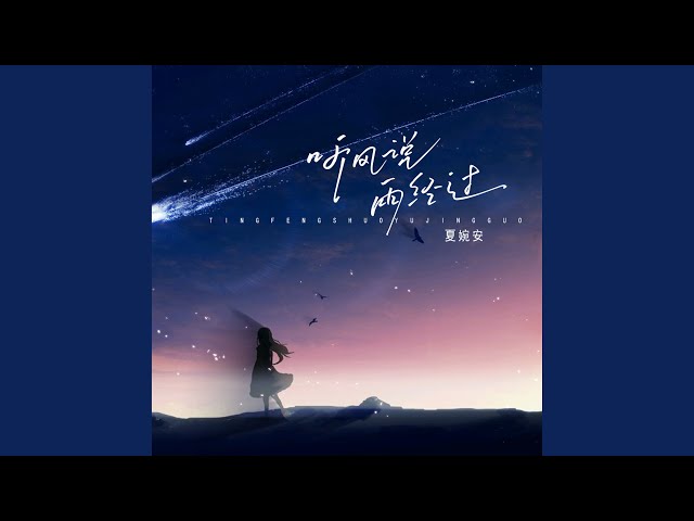 听风说雨经过 (DJ阿卓版)