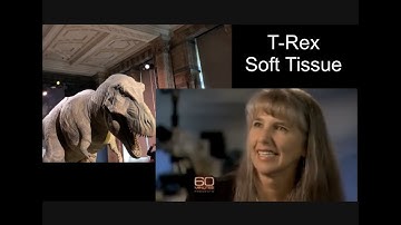 T-Rex Soft Tissue | NHM Creation Tour.