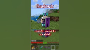 Did you know this difference between Minecraft Java and Minecraft Bedrock #minecraft #shorts