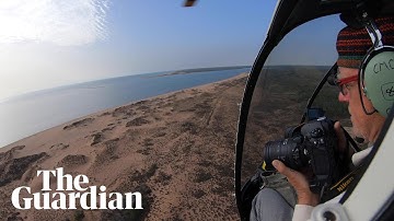 Video shows 400km of dead and badly damaged mangroves in the Gulf of Carpentaria