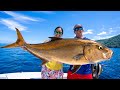 GIANT Almaco JACK! Catch, Clean & Cook! Fishing at Tropic Star Lodge in Panama!