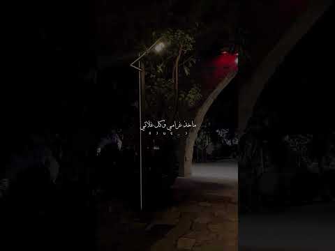 انت السعادة بكل حياتي حالات واتس اب