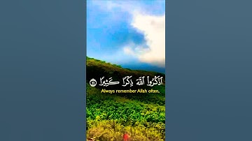 تلاوة تفوق الوصف بصوت يريح الأعصاب #elmulquranعلم #قران_كريم #تلاوة #اكسبلور #trend #المصحف