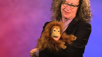 Folkmanis® Baby Orangutan Puppet Demo - Retired