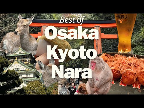 5 Days in Osaka, Kyoto And Nara (Japan Travel)