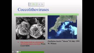 Vir_S15 Lecture 22 Giant Viruses