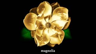Video thumbnail of "Magnolia -I've Got A Surprise For You Today"