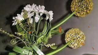 ALBUM REMIX DANGDUT POP NOSTALGIA 2025 II SPESIAL LAGU KENANGAN TERPOPULER 