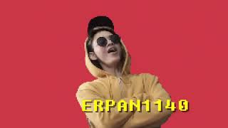 INTRO ERPAN 1140 #2018