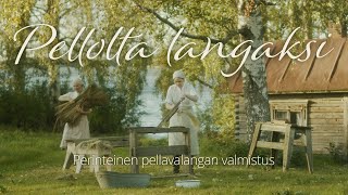 From the field into yarn | Traditional cultivation and processing of flax in Finland | Documentary