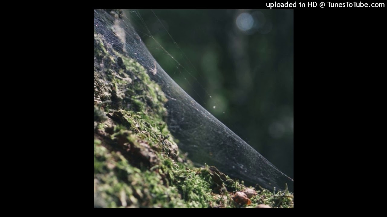 [FREE] XXXTENTACION x $uicideBoy$ x Ghostemane Type Beat - Pale Horse (Prod. Crook)