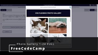 FreeCodeCamp 🌐 Responsive Web Design 🌐 Photo Gallery 1-24 FULL