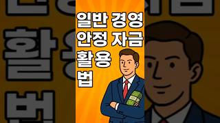 일반경영안정자금 활용법 #정책자금 #정부지원금