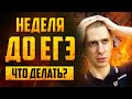 НЕДЕЛЯ ДО ЕГЭ! ЧТО ДЕЛАТЬ? Топ-3 совета от старшего эксперта ЕГЭ или [как не завалить экзамен]