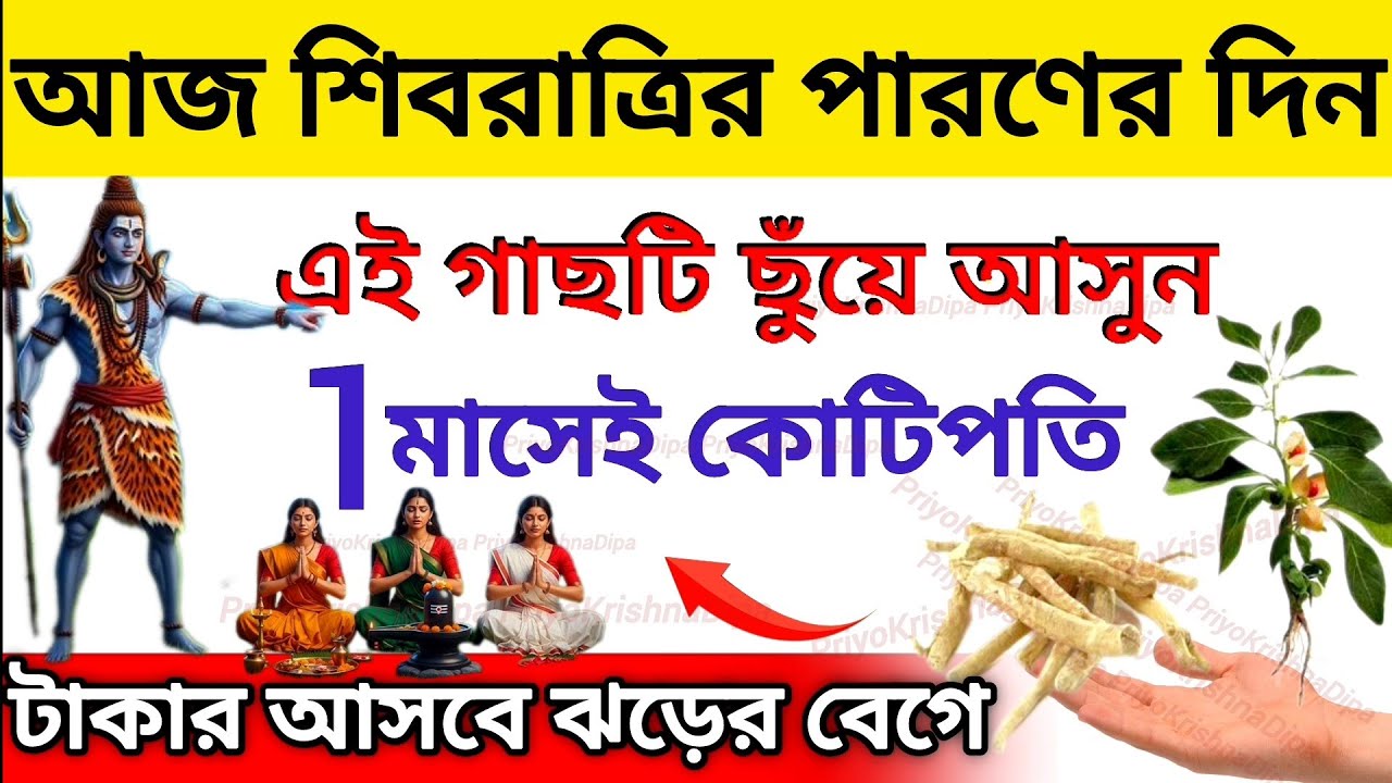 আজ শিবরাত্রির পারণ, এই গাছটি চুপিচুপি ছুঁয়ে আসুন? যা চাইবেন তাই পাবেন। Mahashivaratri vrat Katha