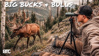 SCOUTING DAY 25 | HUNT PREP 4K