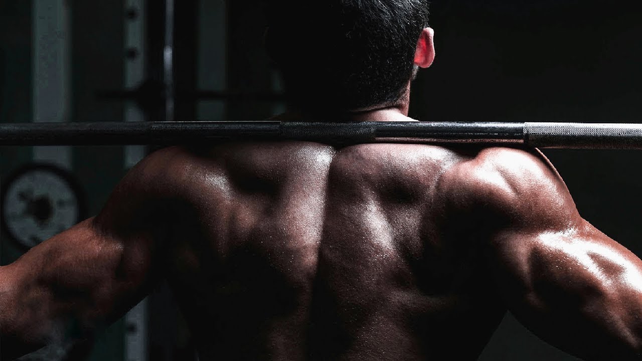 Bayer Schering � ������ ���������: ����.