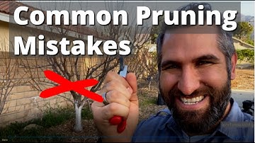 AVOID These 7 Common Tree Pruning Mistakes! | Winter Prune Your Fruit Trees With Confidence