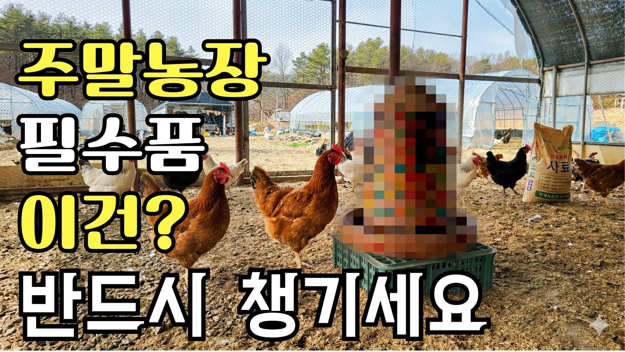 닭 키우기, 10배 편해지는 방법