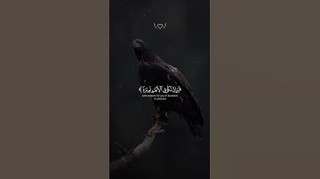 اكتب شيء تؤجر عليه 😴🤎 اذكر الله يذكرك #قران كريم بصوت القارئ ياسر الدوسري