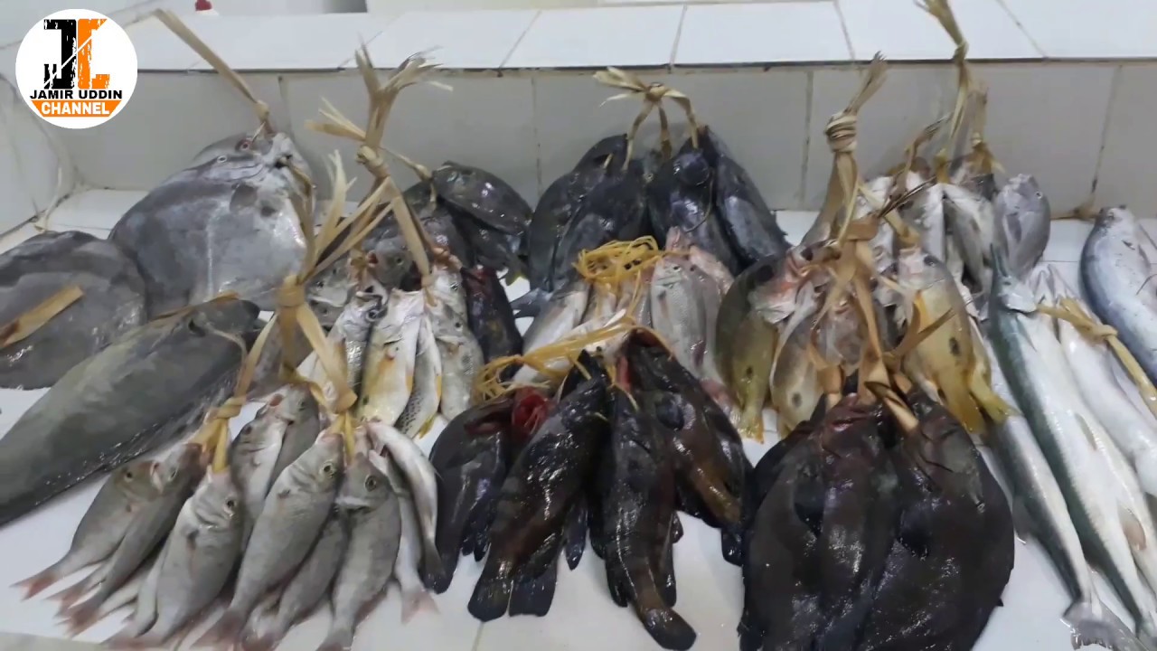 Saudi fish market-at madinah.Fresh fish in the sea.সৌদি আরবে তাজা মাছের ...