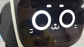 Bellabot screen manual demo show