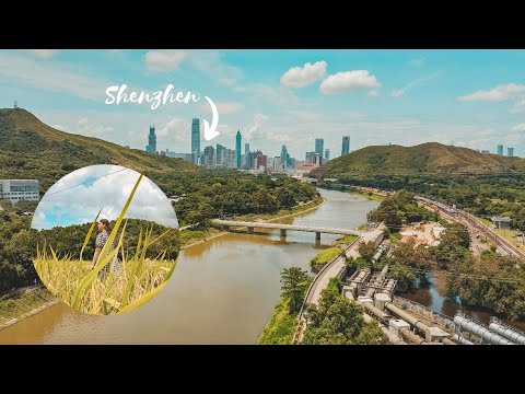 Observing Shenzhen from a far - Sheng Shui Exploring