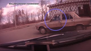 Собака за рулём Собака за рулём