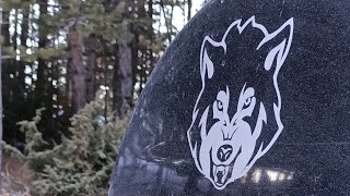 1 Dakikada Orman, Kar Ve Kurt